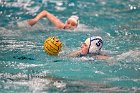 WWPolo @ CC  Wheaton College Women’s Water Polo at Connecticut College. - Photo By: KEITH NORDSTROM : Wheaton, water polo